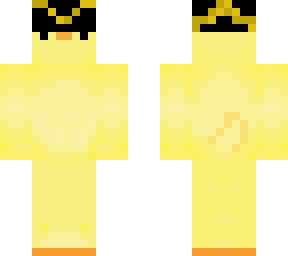 pirate  duck