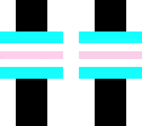trans flag skin