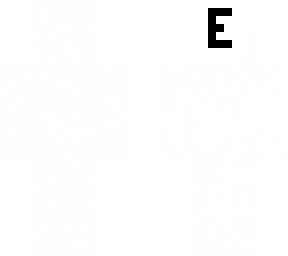 white with black e