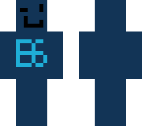 b6 skin
