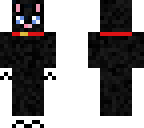 black cat