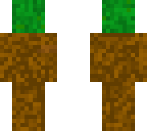 grass