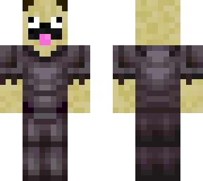 pug soldier
