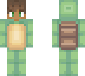 turtle pig