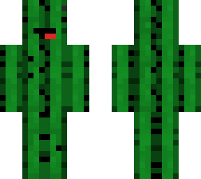 cactus skin :d