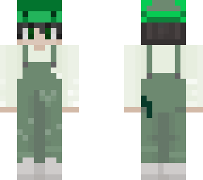 turtle dude