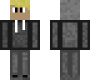hudsons skin
