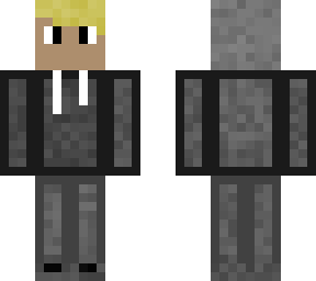 hudsons skin
