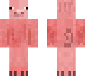pig