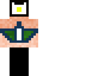 veripi