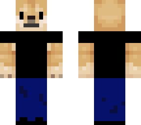 doge with clothes