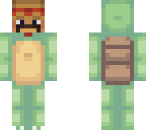 mexican turtle