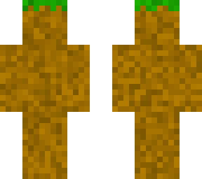 minecraft dirt