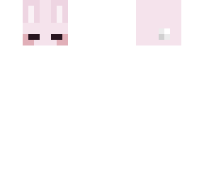 bunny