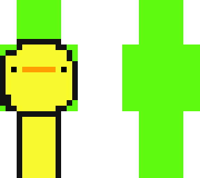 dream duck