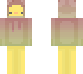 ombre duck 3