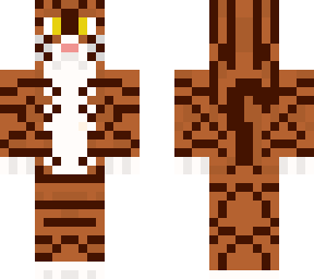 phendi (my cat that i just got and it is bengal)