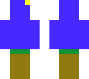 sky guy
