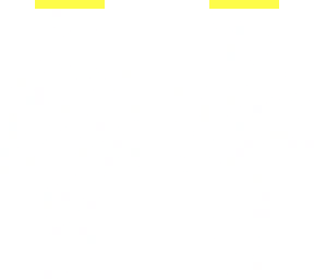 the host