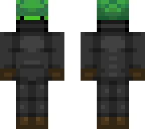 turtle with removable armor
