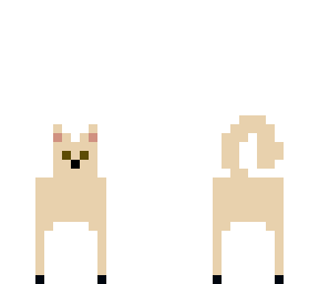 shiba inu