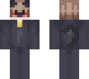 my minecraft skin but im cat noir