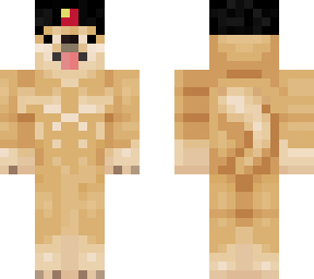 russian doge with 6pack
