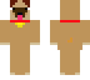 scout my new dog