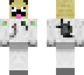 space pug