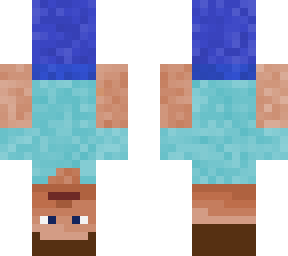 upside down steve