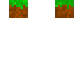 a grass block