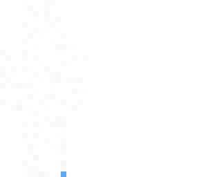 blank