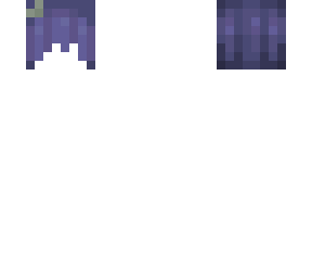 blueberries~short hb
