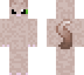 tommeke