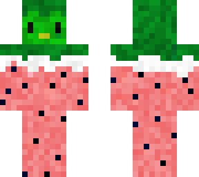 watermelon penguin