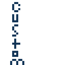 custom skins