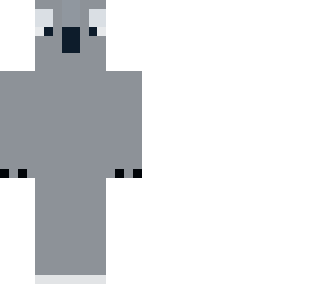 koala dude