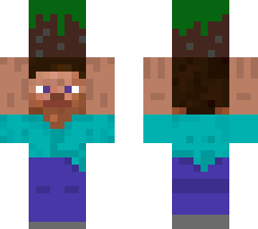 steve carrying a grass block