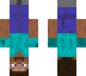 upside down steve