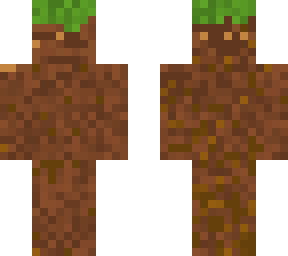 grass/dirt block