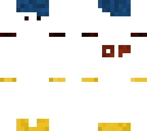 skin template