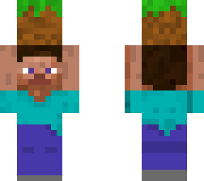 steve with dirt block