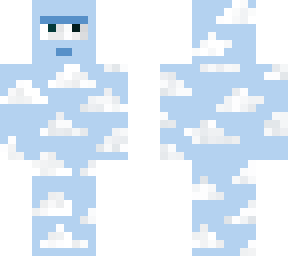 a sky guy