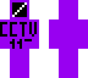 cctv 110
