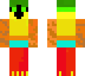 rainbow  parrot