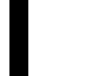 the no shadow