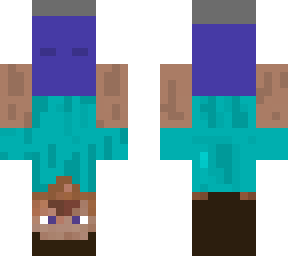 upside down steve