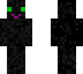 a cat (oreo)