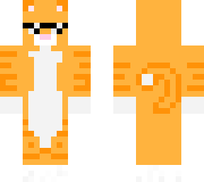 cat with glasses