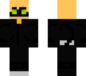 chat noir